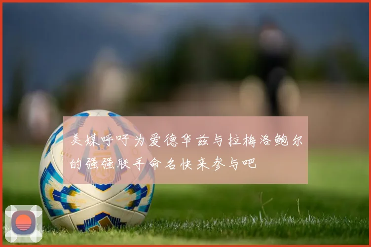 美媒呼吁为爱德华兹与拉梅洛鲍尔的强强联手命名快来参与吧