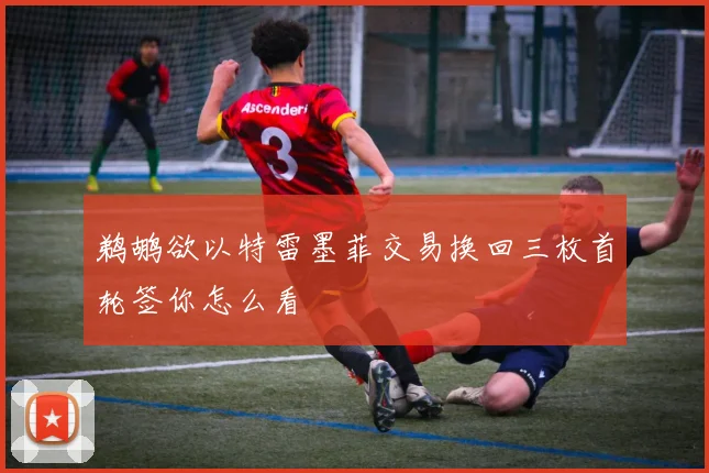 鹈鹕欲以特雷墨菲交易换回三枚首轮签你怎么看