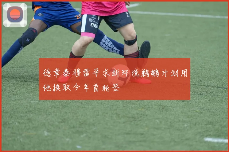 德章泰穆雷寻求新环境鹈鹕计划用他换取今年首轮签